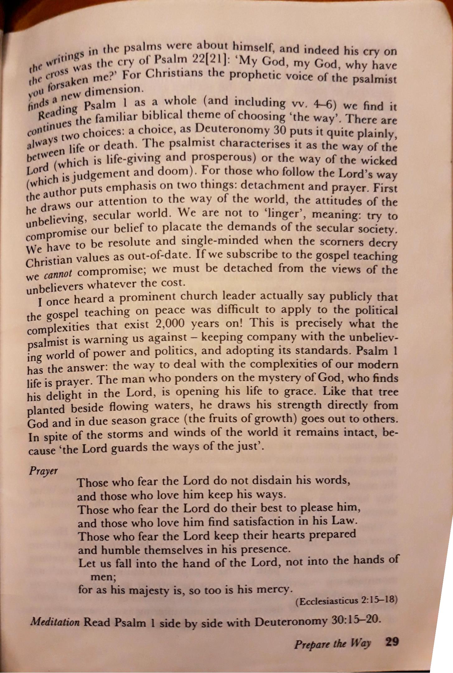 psalm-1-reflection-part-2-by-delia-smith-turas-colmcille-2021